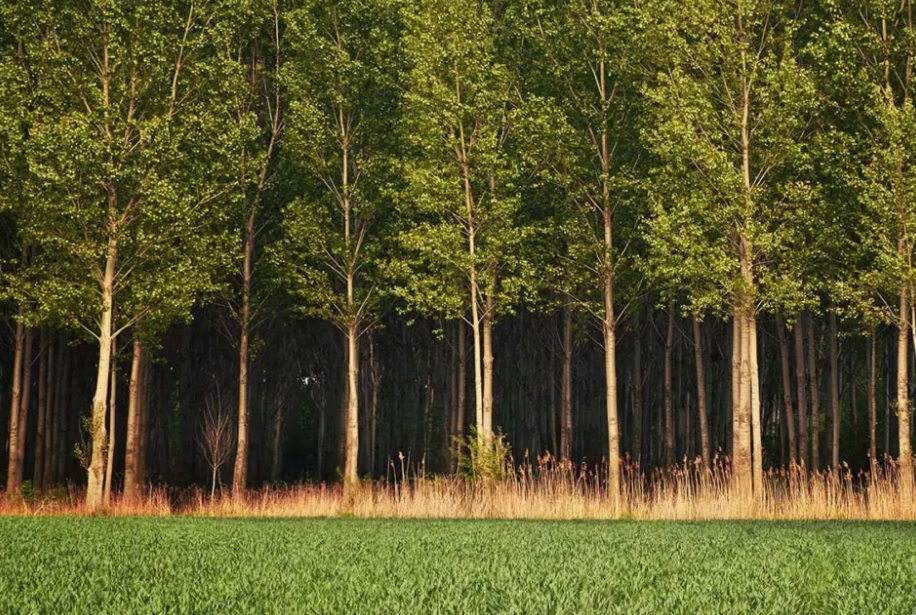 Интеграция аналитики в режиме реального времени с котельными системами для повышения экологичности